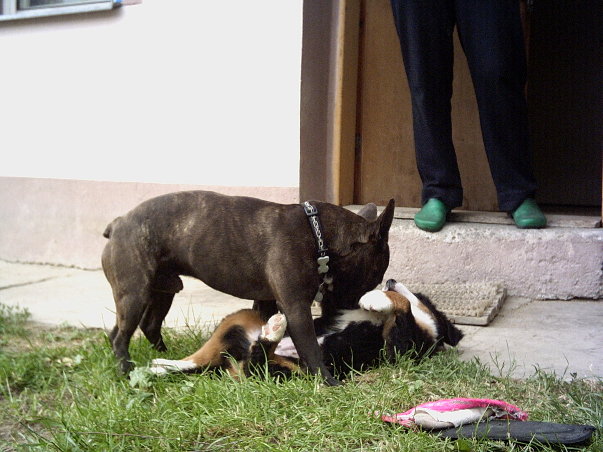 PICT0023.JPG