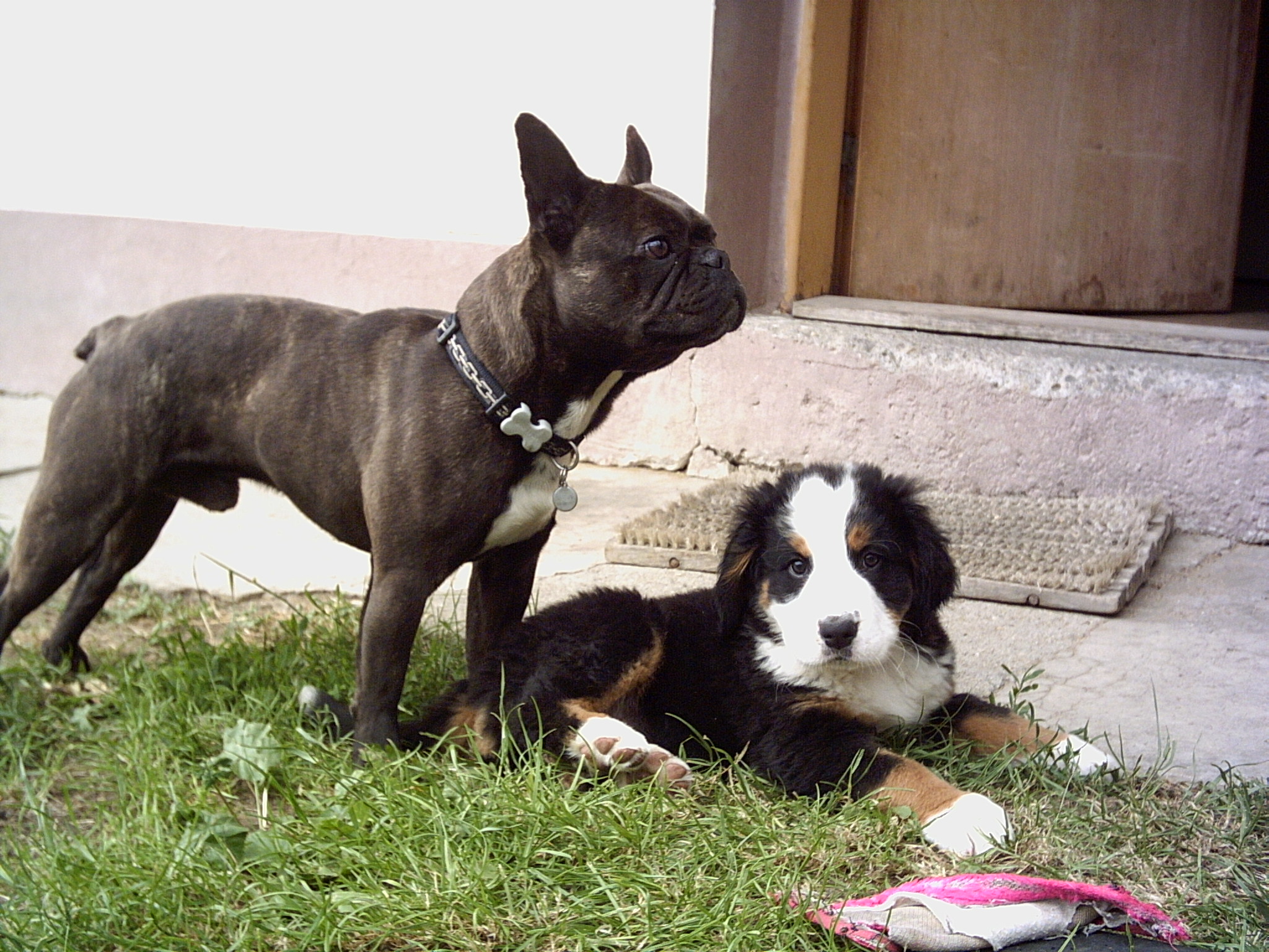 PICT0026.JPG